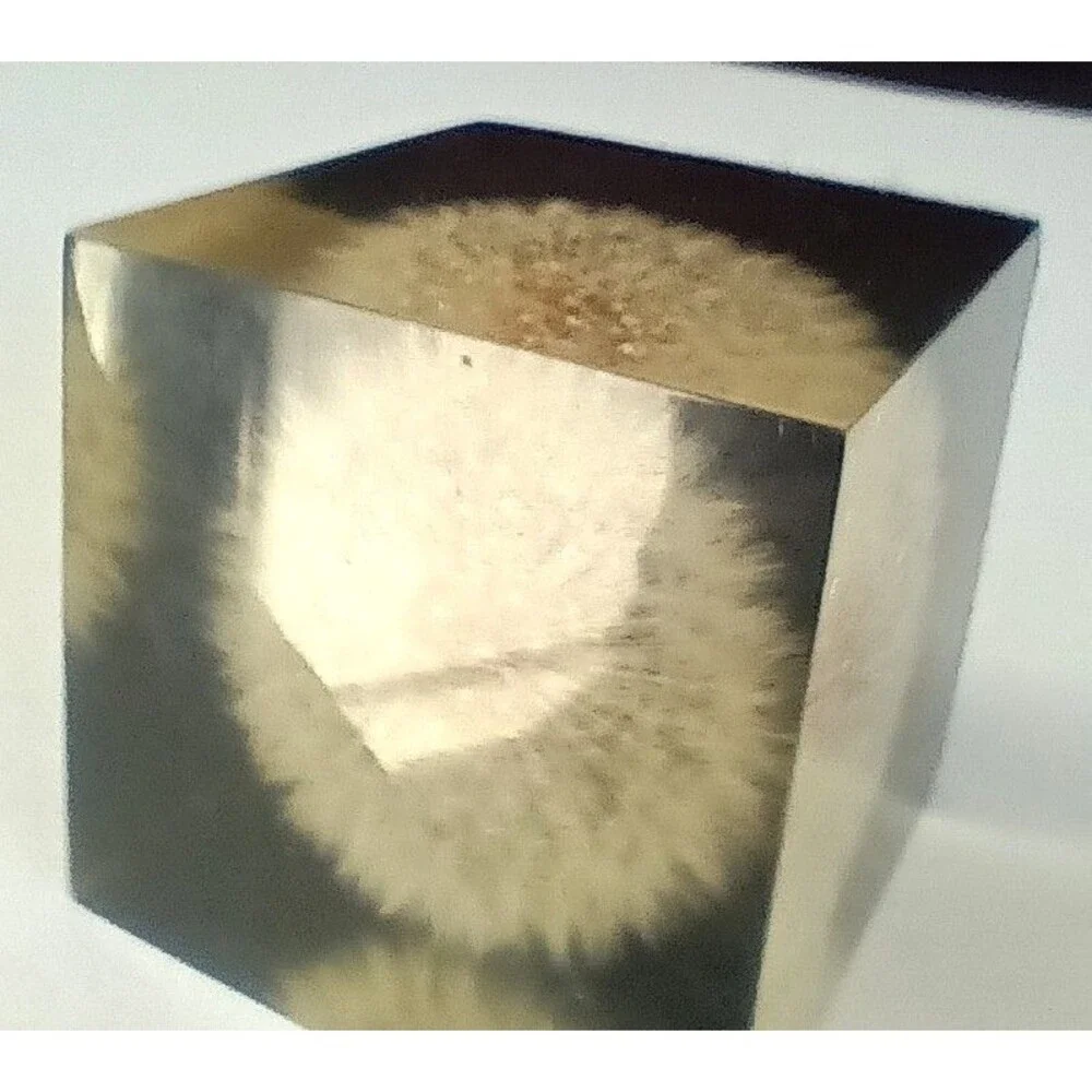 Vintage Dandelion Lucite Resin Cube Paperweight  Shoreline 2 3/8